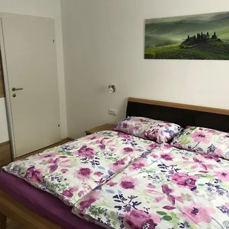 Apartment Stadtdomizil 5 Schladming